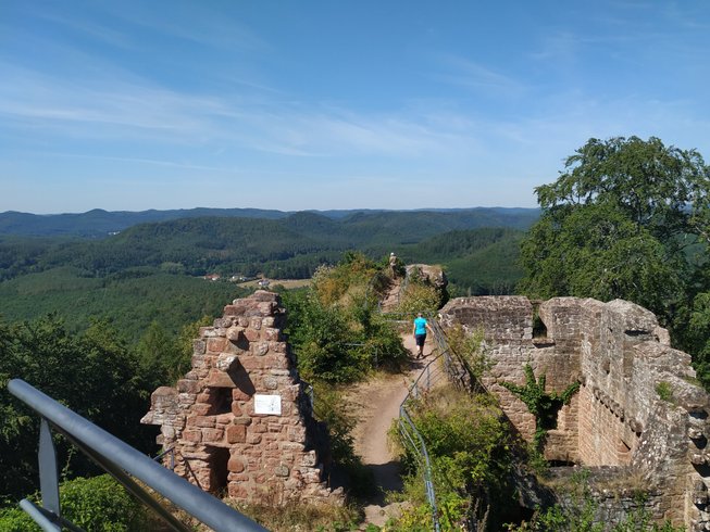 Domaine AbracadaRoom : L'échappée verte - Image 5