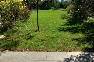 LES CHALETS DE COYRON