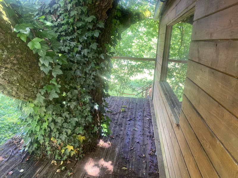 Domaine AbracadaRoom : Cabane dans le chêne tricentenaire - Image 9