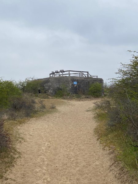 Hébergement AbracadaRoom : Suite Romantique lost paradise  avec spa, sauna et douche bien être - Image 15