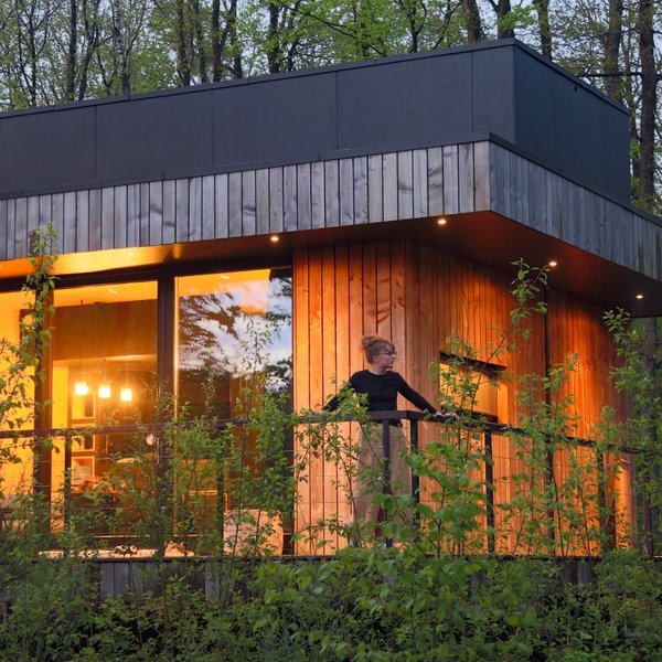 Domaine AbracadaRoom : FOREST CUBES - Image 11