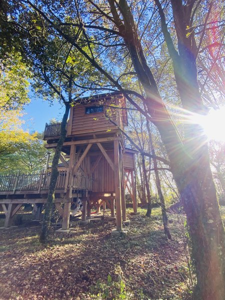 Hébergement AbracadaRoom : La  Belle Verte écolodge avec SPA - Image 39