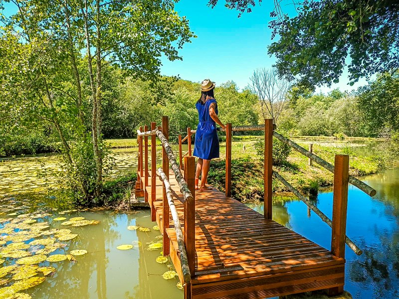 Hébergement AbracadaRoom : Lodge sur pilotis, étang privé, nature et biodiversité à Sarlat - Image 21