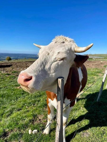 Hébergement AbracadaRoom : Les Logettes de Caroline, Ecolodge & Bain Nordique - Image 43