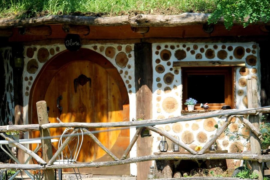 Hébergement AbracadaRoom : La cabane végétalisée pour les familles - Image 3