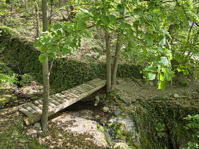 Hébergement AbracadaRoom : Petite cabane dans les bois - Image 7