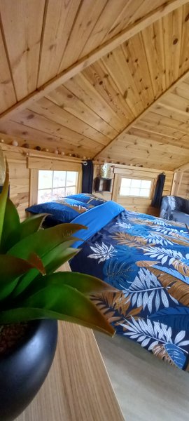 Domaine AbracadaRoom : Kota 'Dans les étoiles' - Image 3