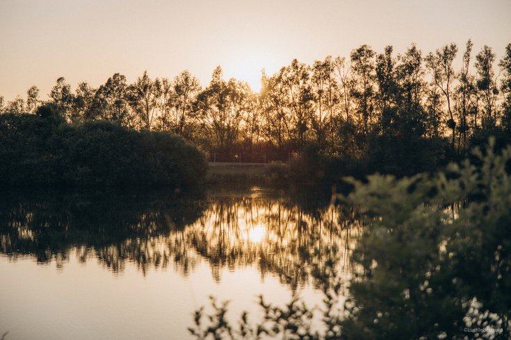 Hébergement AbracadaRoom : L'Etang des P'tits Plaisirs -Refuge en nature 2 - Image 39