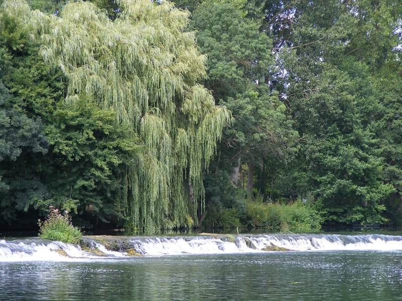 Domaine AbracadaRoom : Ecolodge du petit champ - Image 7