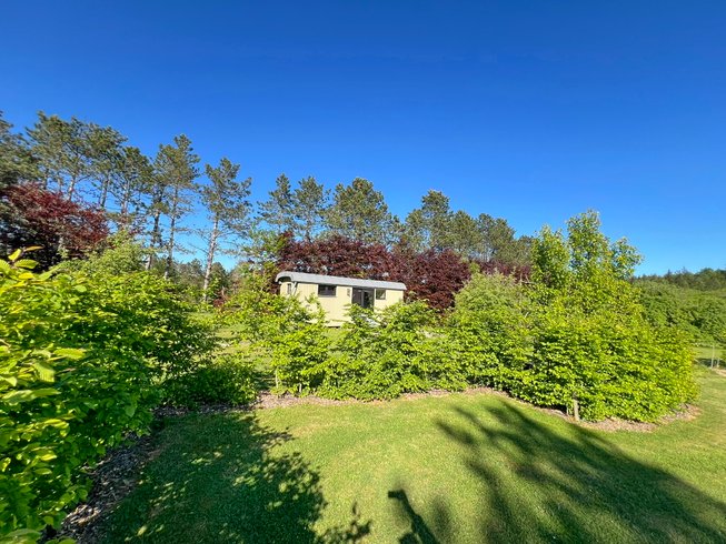 Domaine AbracadaRoom : Pine Tree tiny cottage - Image 19