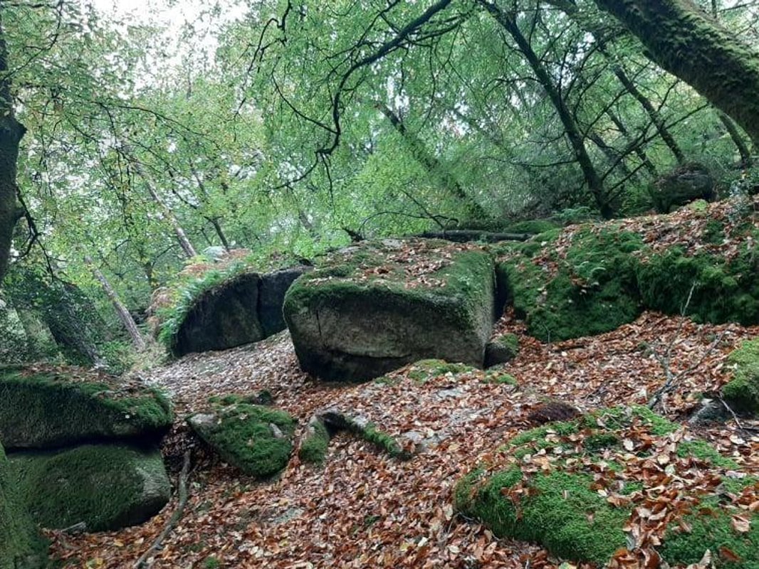 La Chaumière de Floranges à La Chapelle-Neuve (22)