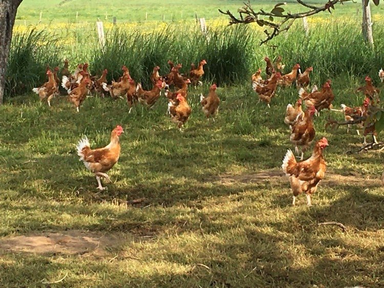 Domaine AbracadaRoom : Au Pré des Alizés - Image 7