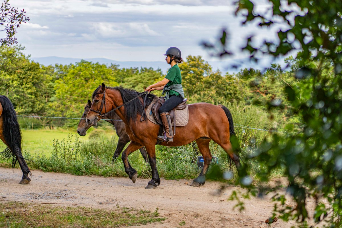 Le Bosquet des Dômes - Panorama des Puys à Cheval à Châtel-Guyon (37)