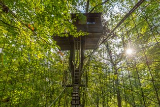 Cabane Canopée