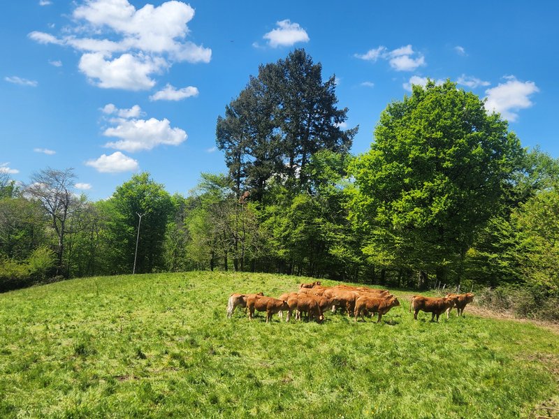 Domaine AbracadaRoom : Les Cabanes de Salagnac - Image 17