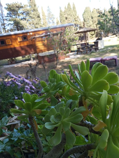 Hébergement AbracadaRoom : La Roulotte Spa Gitane - Image 29