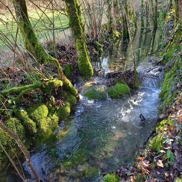 Domaine AbracadaRoom : Domaine de la Pierre Sèche - Image 8