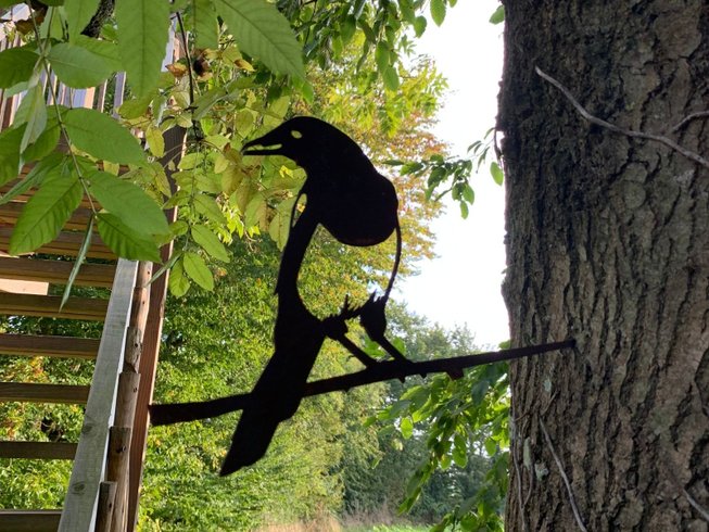 Hébergement AbracadaRoom : Nid de Pie - Image 5