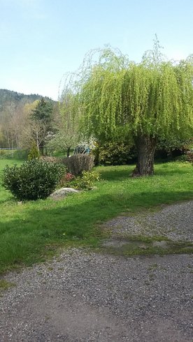 Domaine AbracadaRoom : Le Rêve de Charles - Image 3