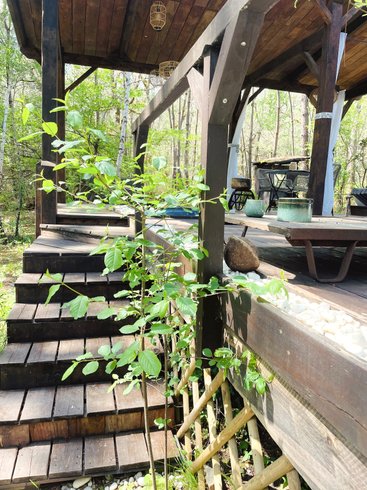 Hébergement AbracadaRoom : L'O2 : la Cabane vitrée panoramique - Image 13