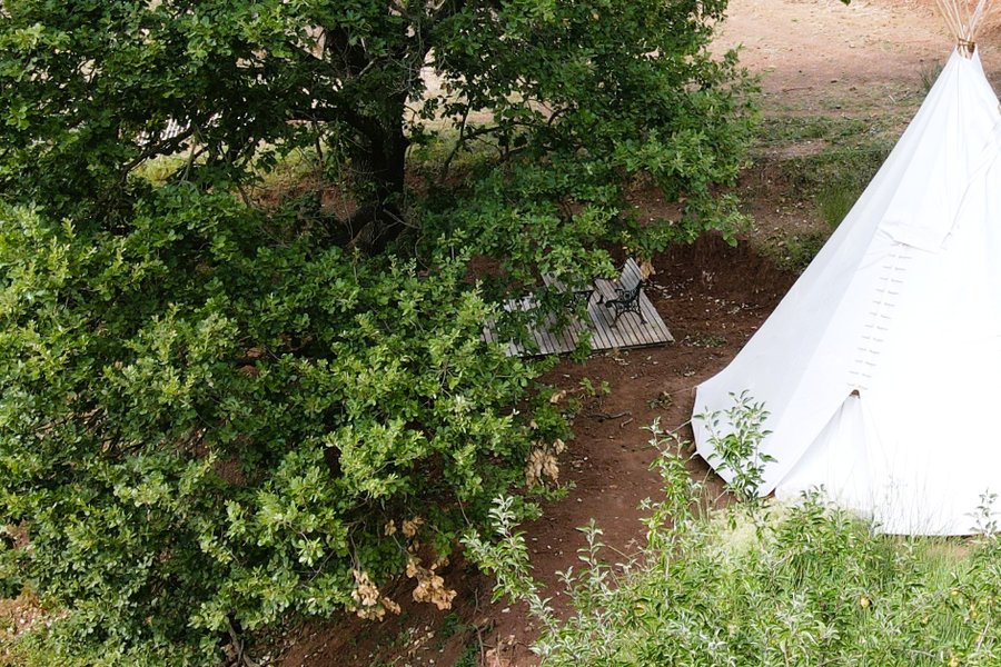 Tipi Jerolamo — photo 2