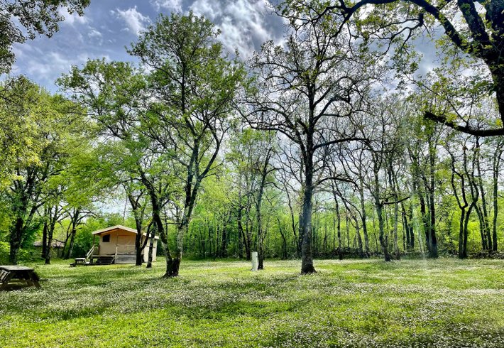 Hébergement AbracadaRoom : Glamping Lodge - Image 2