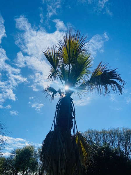 Domaine AbracadaRoom : Jardin Zen du Quistillic - Image 15