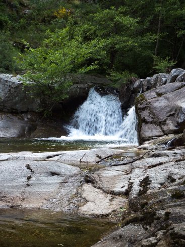 Hébergement AbracadaRoom : Roulotte de Lascoutch - Image 20