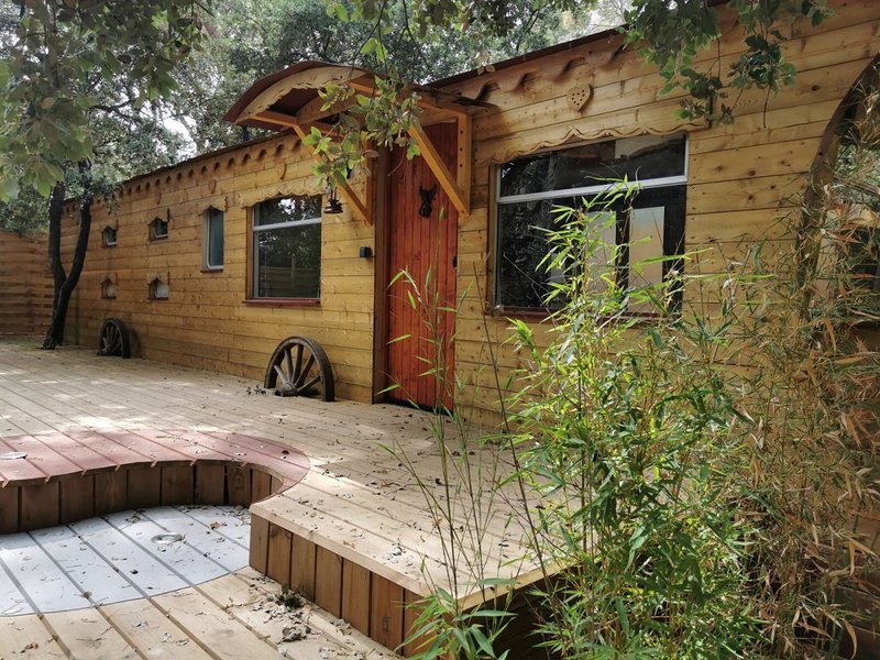 Domaine AbracadaRoom : Métamorphose - Image 1