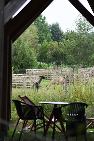 Hébergement AbracadaRoom : Lodge sur pilotis Duo Spa et sauna privatif Vaudésir - Image 18