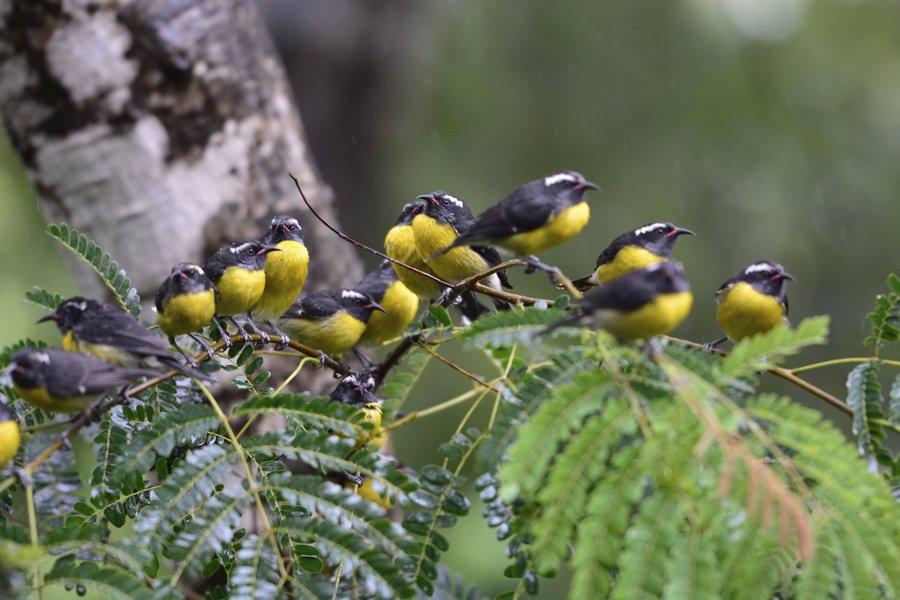 Domaine AbracadaRoom : Au Jardin des Colibris - Image 6