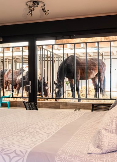 Suite 1 - 5 personnes avec accès direct aux chevaux à Fraisnes-En-Saintois