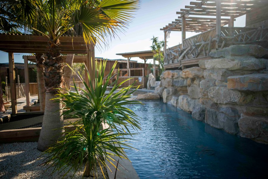 Domaine AbracadaRoom : Villa Occitana - Image 8