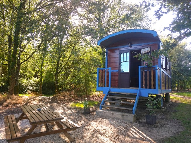 Hébergement AbracadaRoom : Roulotte Bleuet - Image 7