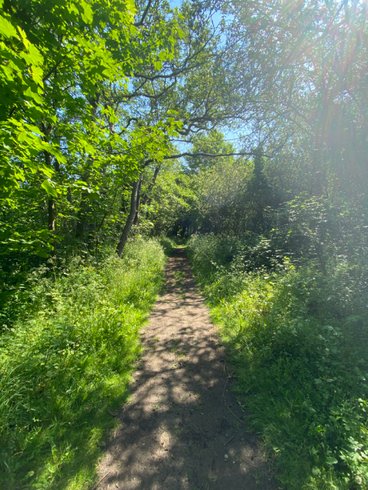 Hébergement AbracadaRoom : Lodge Valhalla - bain nordique-kota grill (repas inclus)-sauna au feu de bois - Image 35