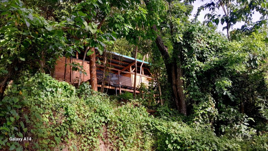 Hébergement AbracadaRoom : Gran Kabane - Image 1