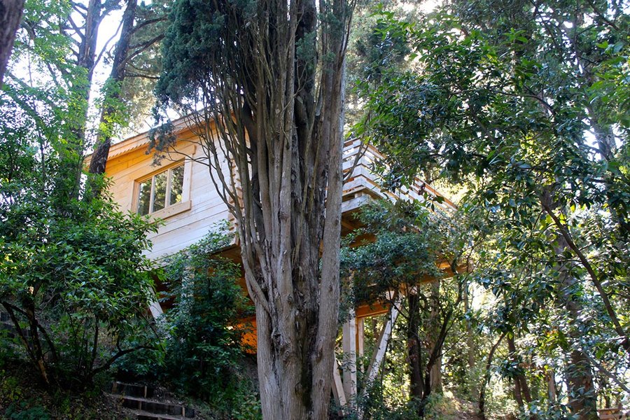 Hébergement AbracadaRoom : Cabane Mazet - Image 1