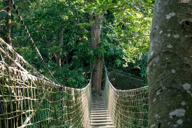 Cabane Grand Duc à Saint Pierre Azif (3)