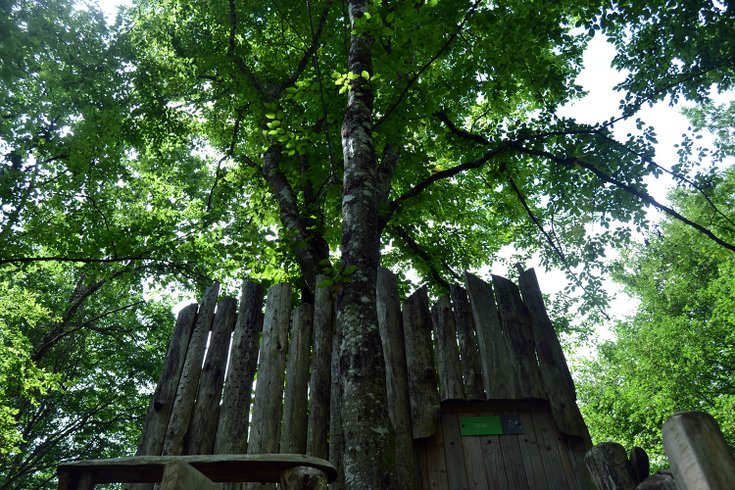 Hébergement AbracadaRoom : Cabane Tad Goz - Image 5