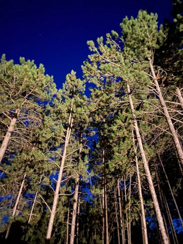 Domaine AbracadaRoom : La Parenthèse Dieulefit - Image 9