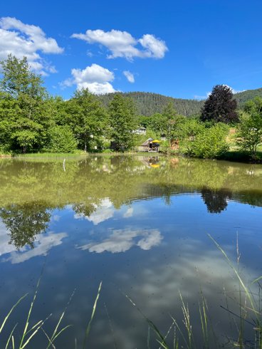 Hébergement AbracadaRoom : Kota chambre des Cambuses & Bain nordique - Image 22