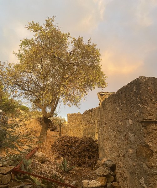 Domaine AbracadaRoom : Grotte romantique à FITOU - Image 8