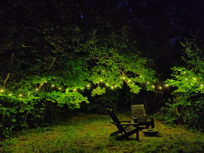 Domaine AbracadaRoom : Moose Tiny House Chaumes - Image 18