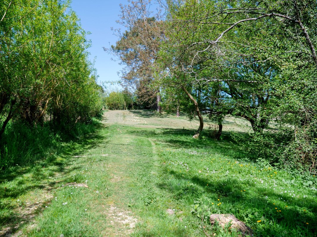 Notre Cabane perchée & son lac privé à Sadirac (2)