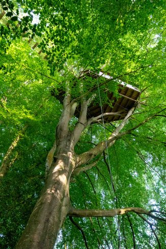 Hébergement AbracadaRoom : Cabane Mésange - Image 2