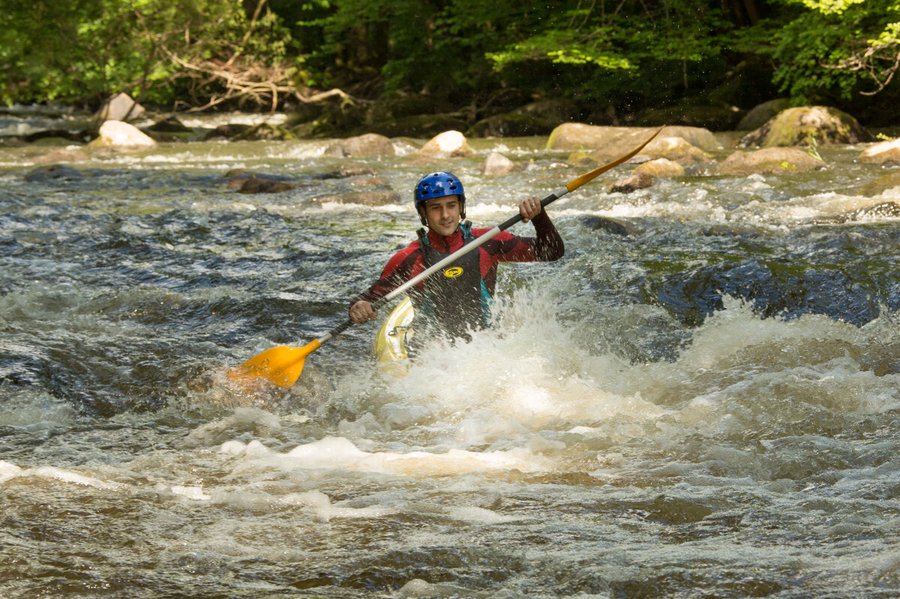 Domaine AbracadaRoom : Il était une fois... au cœur de nos bois - Image 14