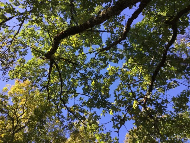 Hébergement AbracadaRoom : Cabane insolite avec spa privatif - Image 18
