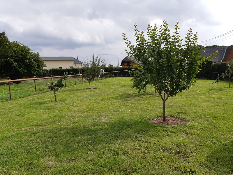 Domaine AbracadaRoom : L'insolit Ô Verger - Image 8