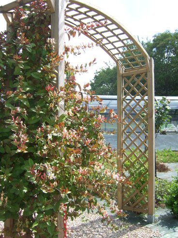 Domaine AbracadaRoom : La Ferme de Trénube - Image 5