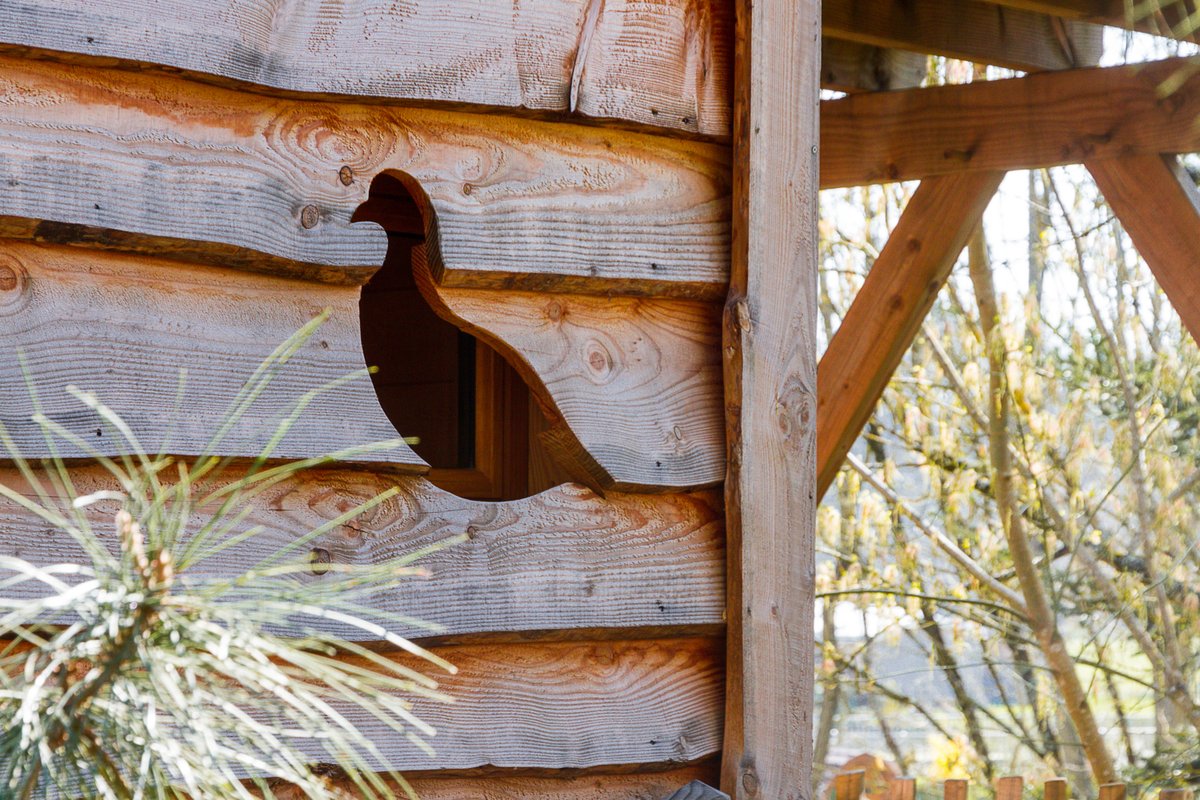 Cabane Palombière à Le Nizan (10)